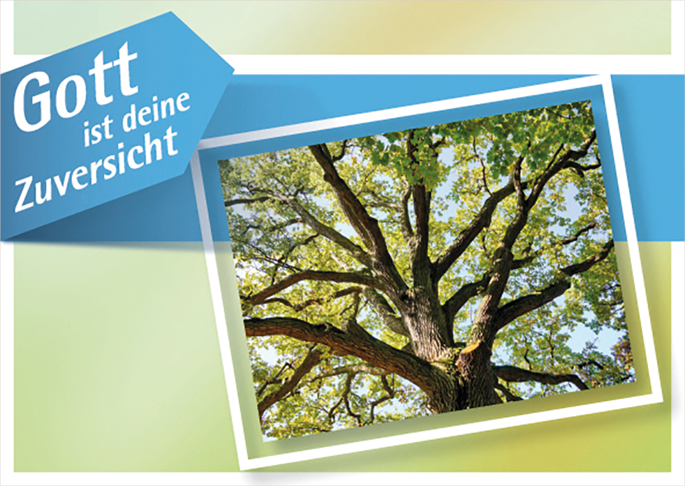 Beispielinhalt