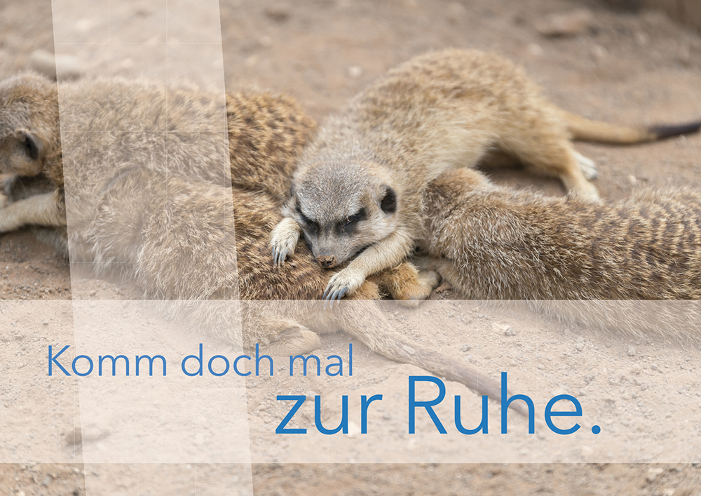 Beispielinhalt