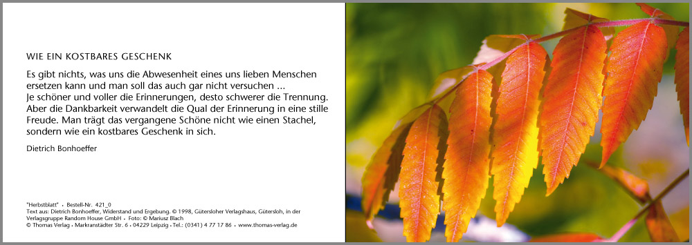 Beispielinhalt