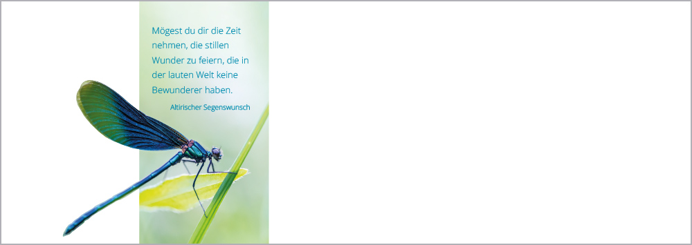 Beispielinhalt